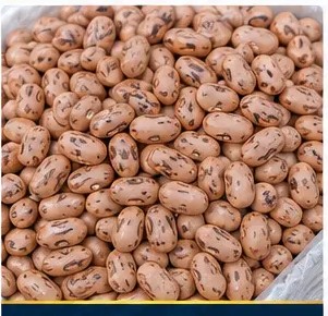 Red Speckled Kidney Beans